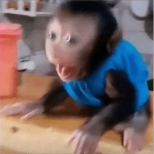 Monos2 2