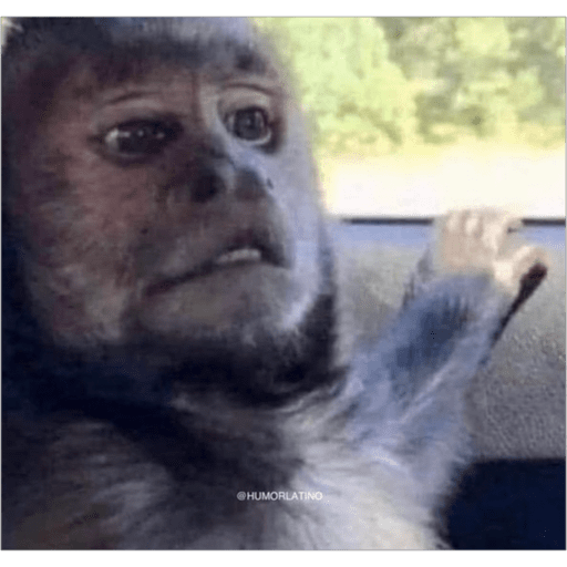 Monos2 7