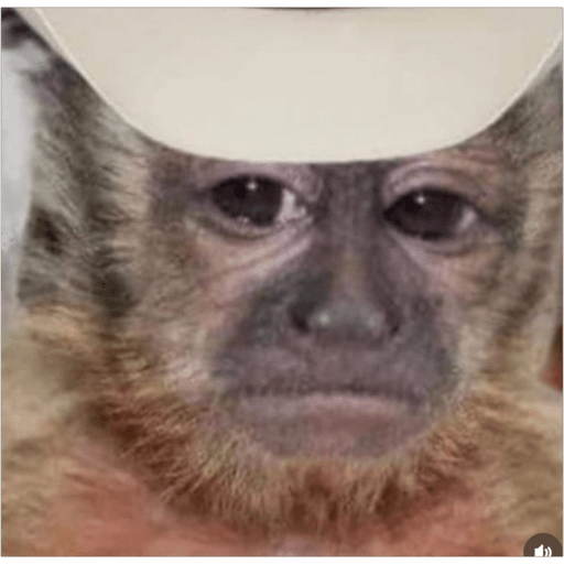 Monos2 15