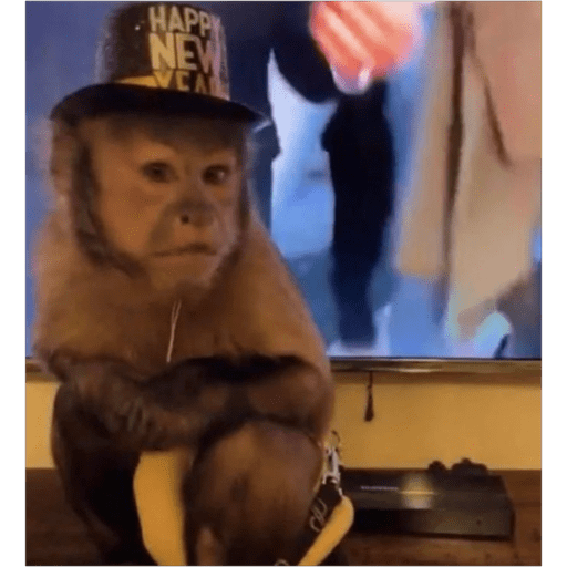 Monos2 18