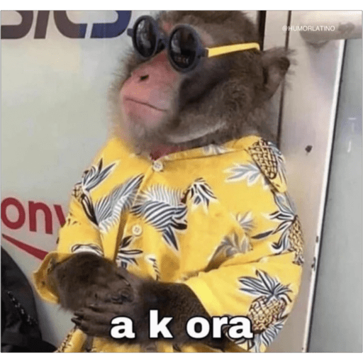 Monos2 29