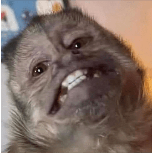 Monos2 28
