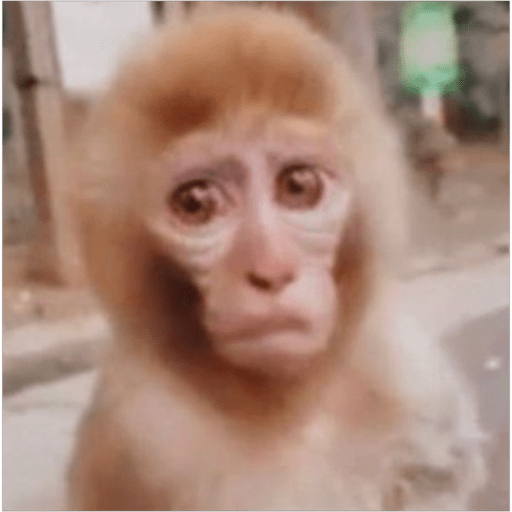 Monos2 9