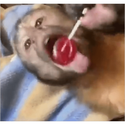 Monos2 16