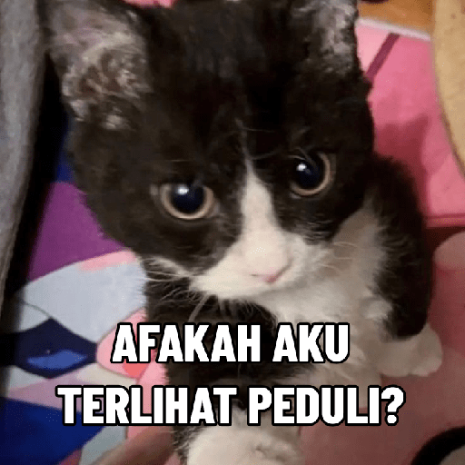 Stiker kucing