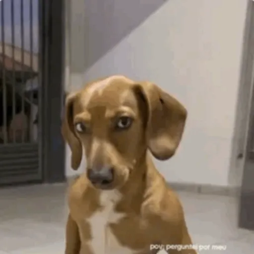 Reações TikTok 3