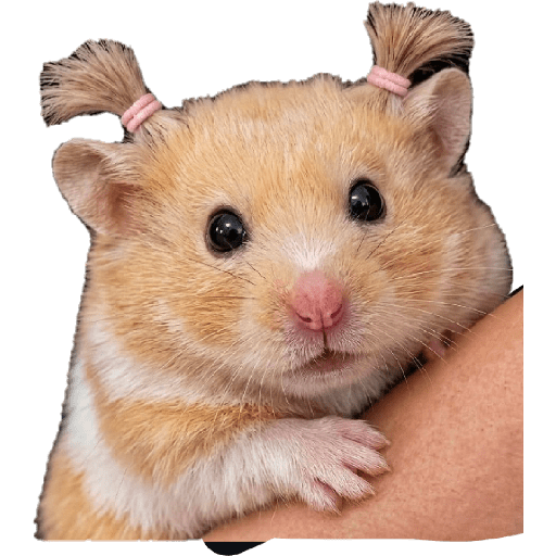 Sticker Image