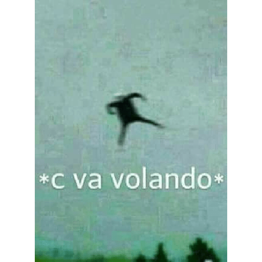 Memes randoms 12