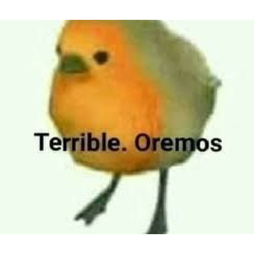 Memes randoms 19