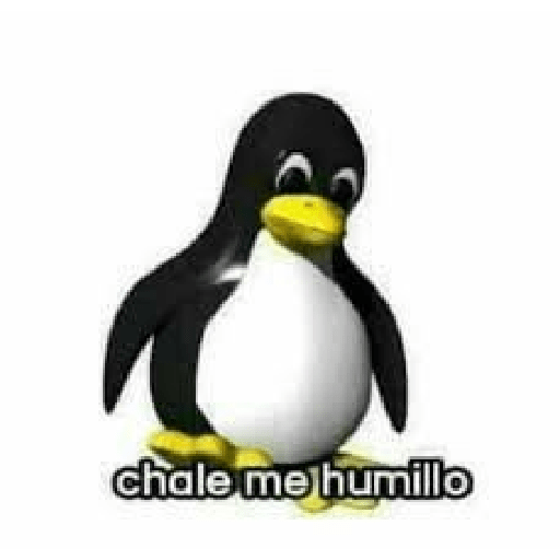 Memes randoms 18