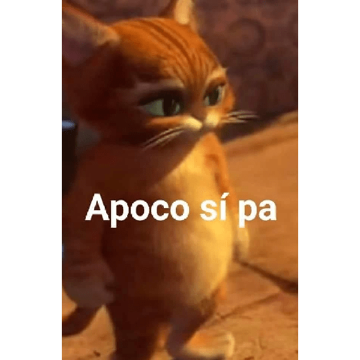 Memes randoms 15
