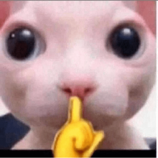 Memes randoms 29