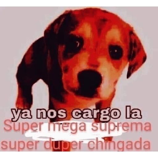 Memes randoms 27