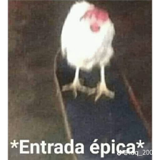 Memes randoms 4