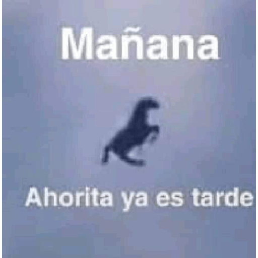 Memes randoms 25