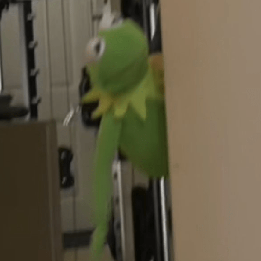 Nosecomosellamapero'tachido 21