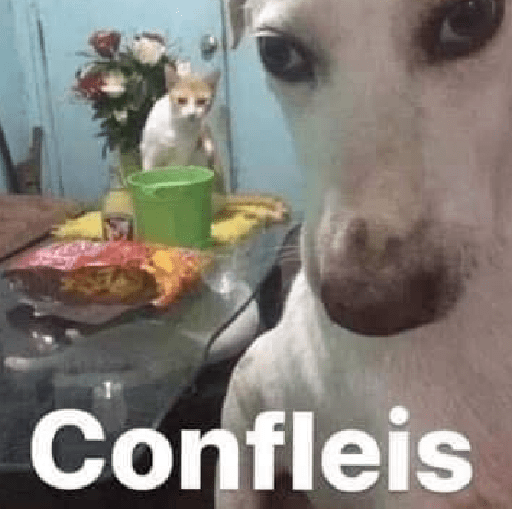 Animales random 3.0 🕴️ 1