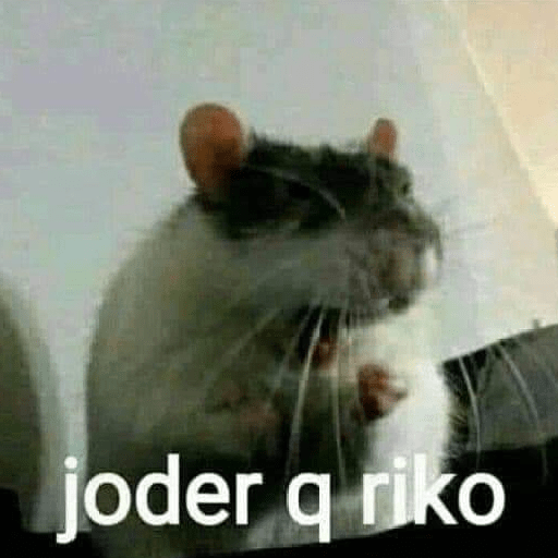 Animales random 3.0 🕴️ 30