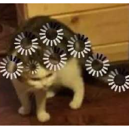 Animales random 3.0 🕴️ 25