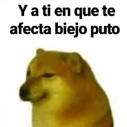 Animales random 3.0 🕴️ 17
