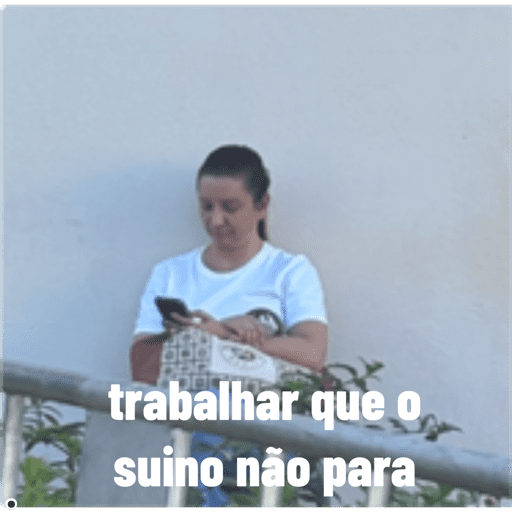 Minhas figurinhas 22