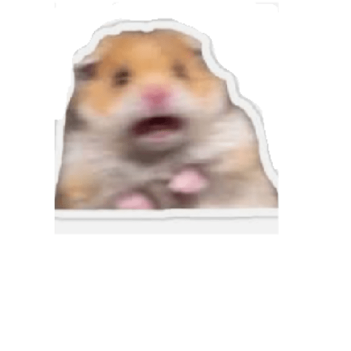 Risas