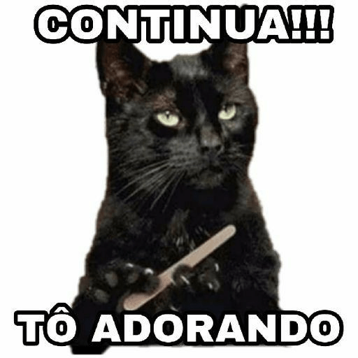 Animais  6