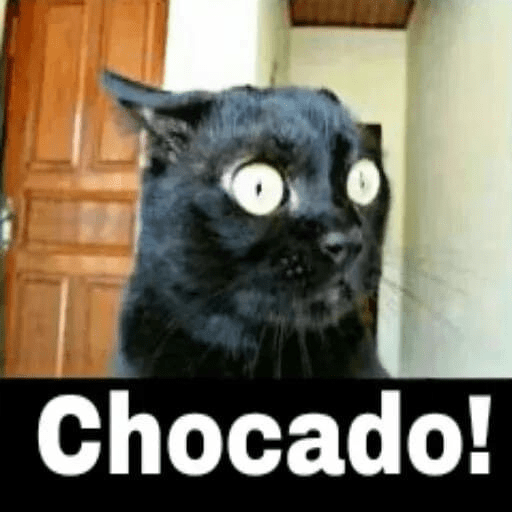 Animais  4