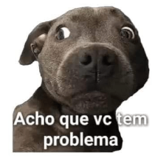 Animais  3