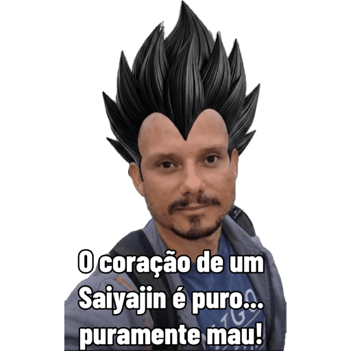 Cice 28