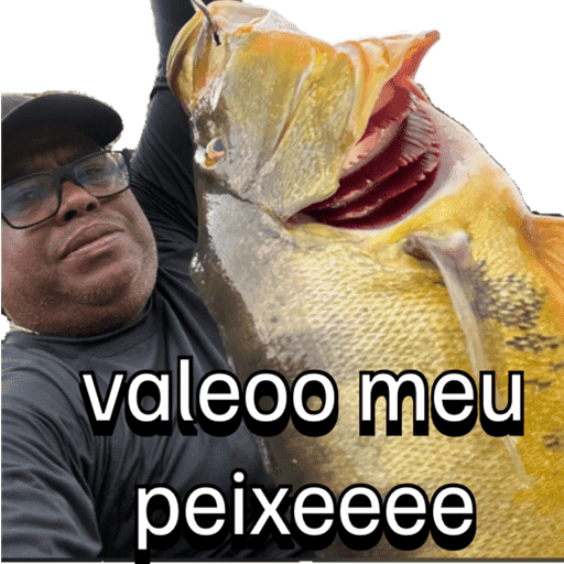 Cice 5