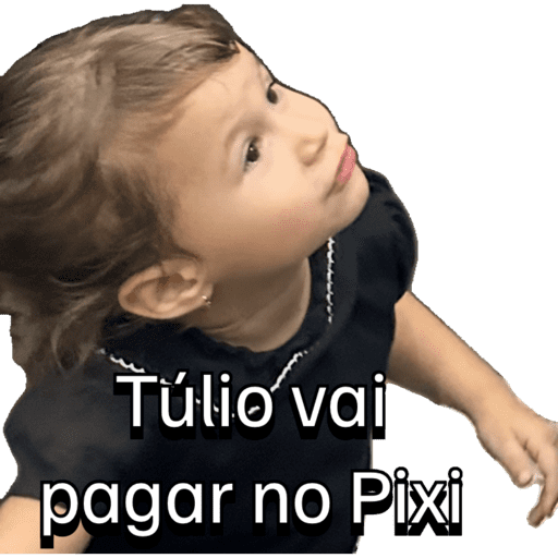 Cice 2