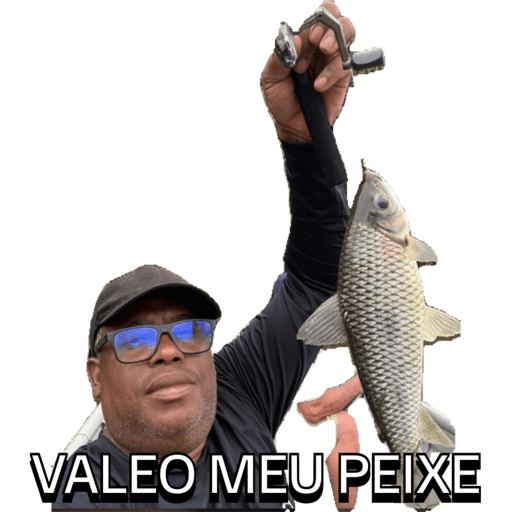 Cice 3