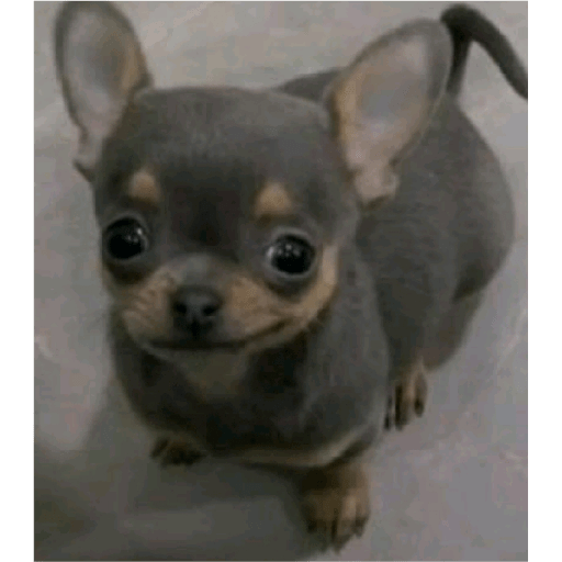 Akakskja 6