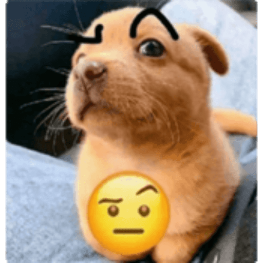 Akakskja 10