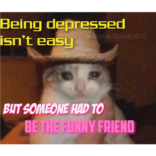 Cat 25
