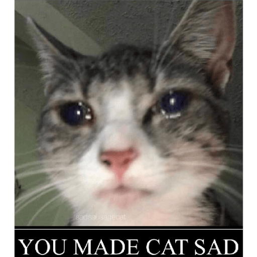 Cat 9
