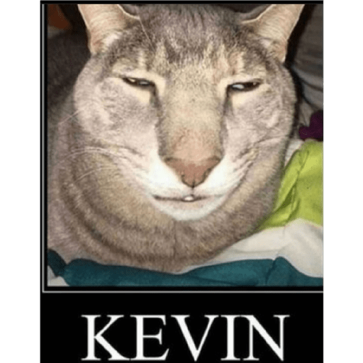 Cat 5