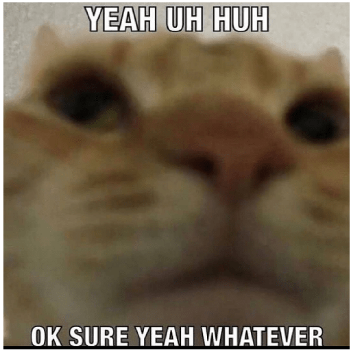 Cat 22