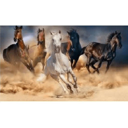 Caballos 10