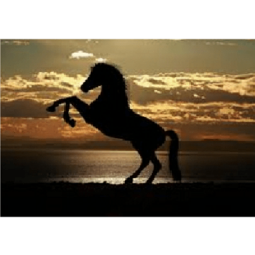 Caballos 1