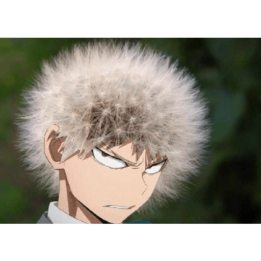 Animes 30