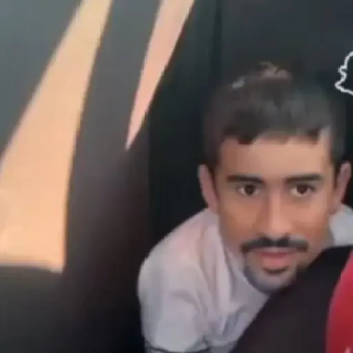 Xd sheldon 🐅 1