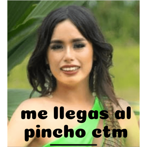 Mis pegatinas