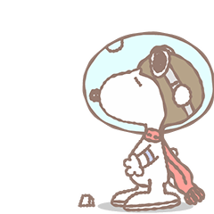 Snoopy 2 15
