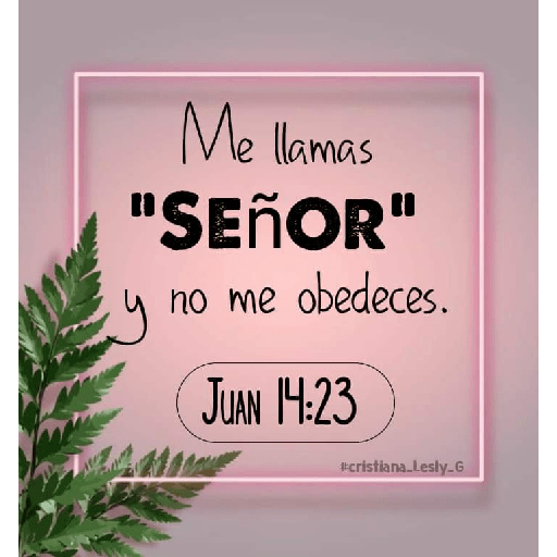 Textos biblicos😇😇😇 25