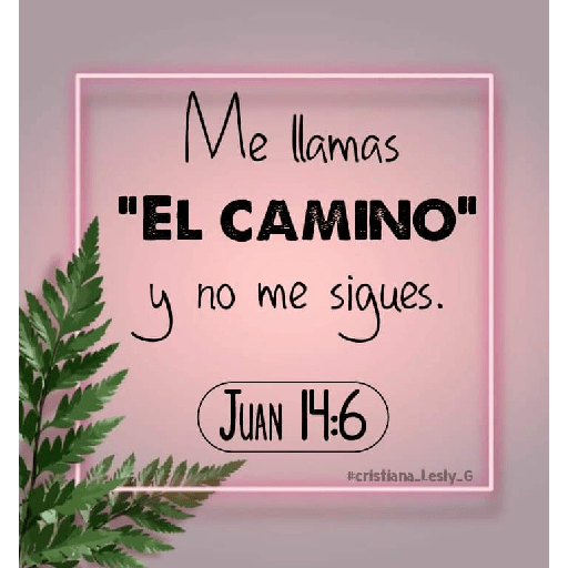 Textos biblicos😇😇😇 23