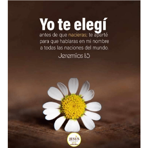 Textos biblicos😇😇😇 29