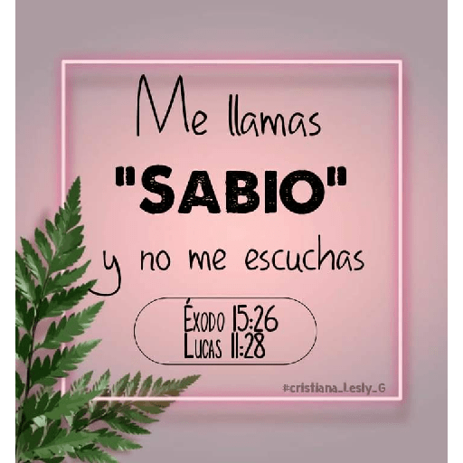 Textos biblicos😇😇😇 27
