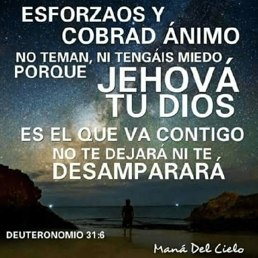 Textos biblicos😇😇😇 29